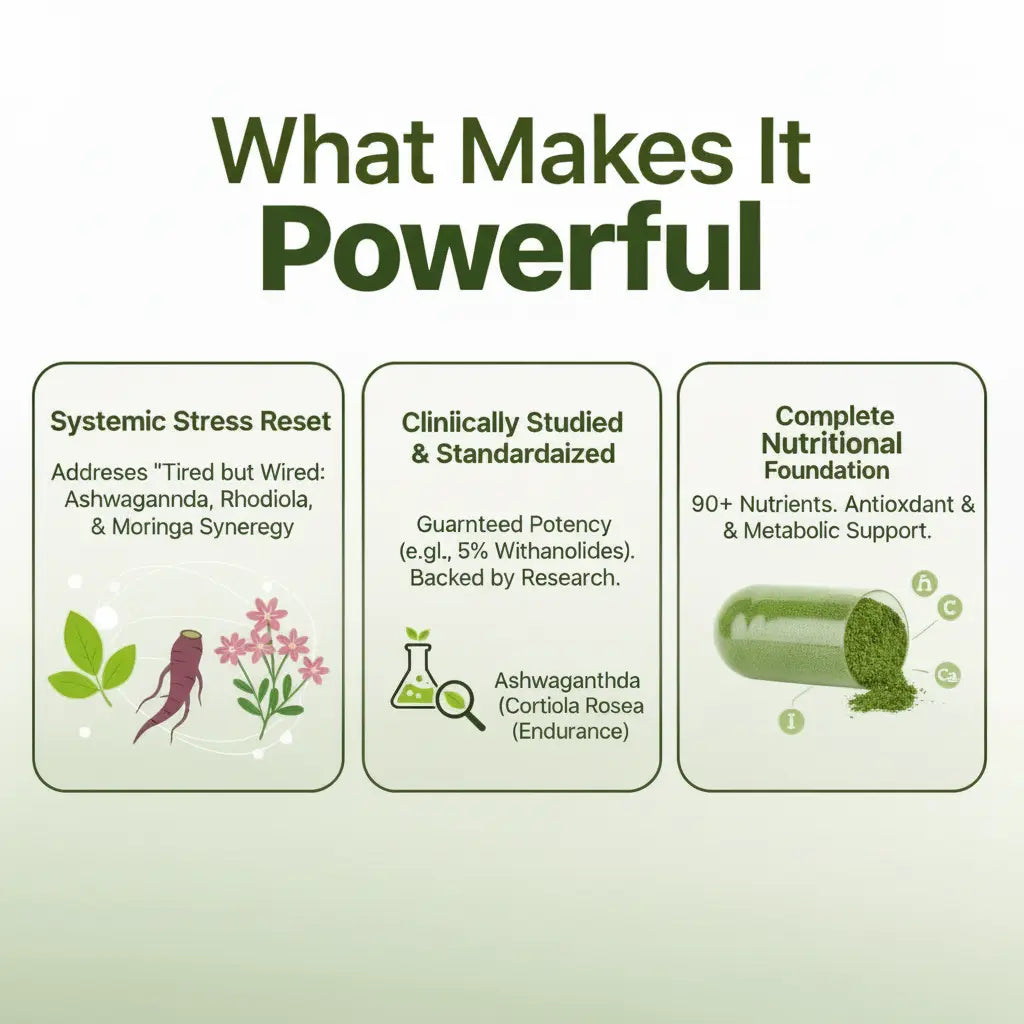 Masuya - One Complex, unlimited benefits