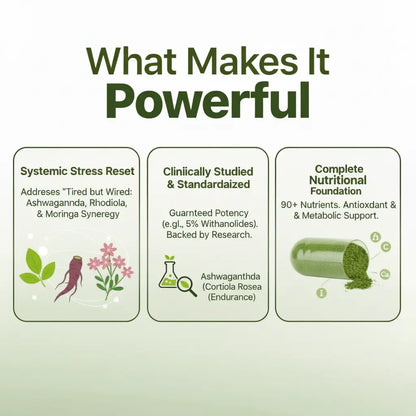 Masuya - One Complex, unlimited benefits