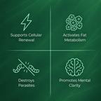 Moringa - Broad