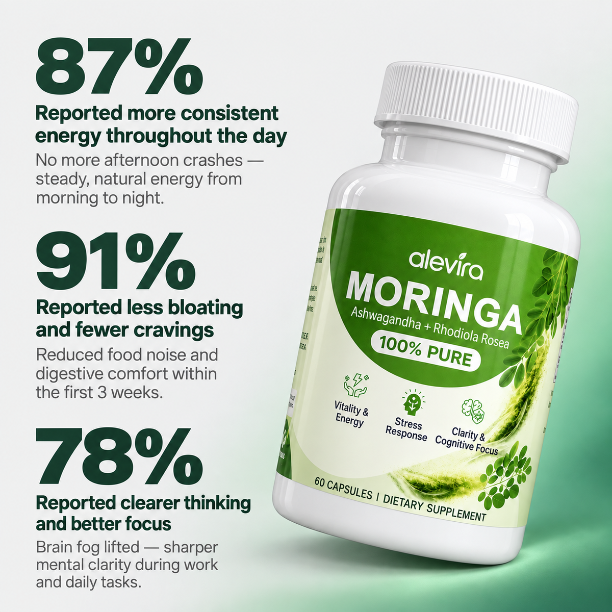 Moringa - Broad