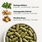 Moringa - Broad