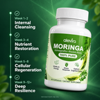 Moringa - Broad